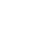 ambulancia blanca icono